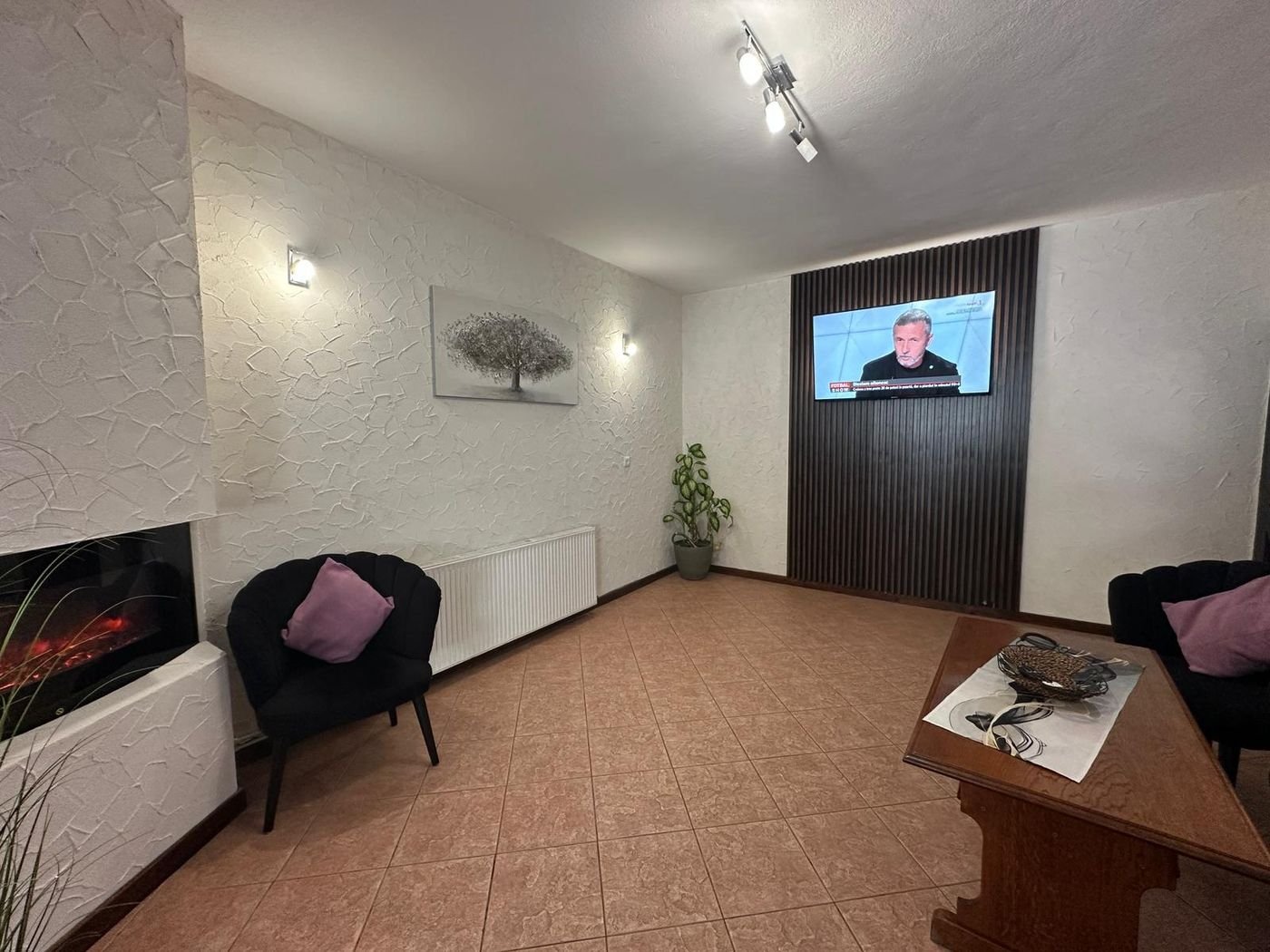 Zona de relaxare cu șemineu și televizor