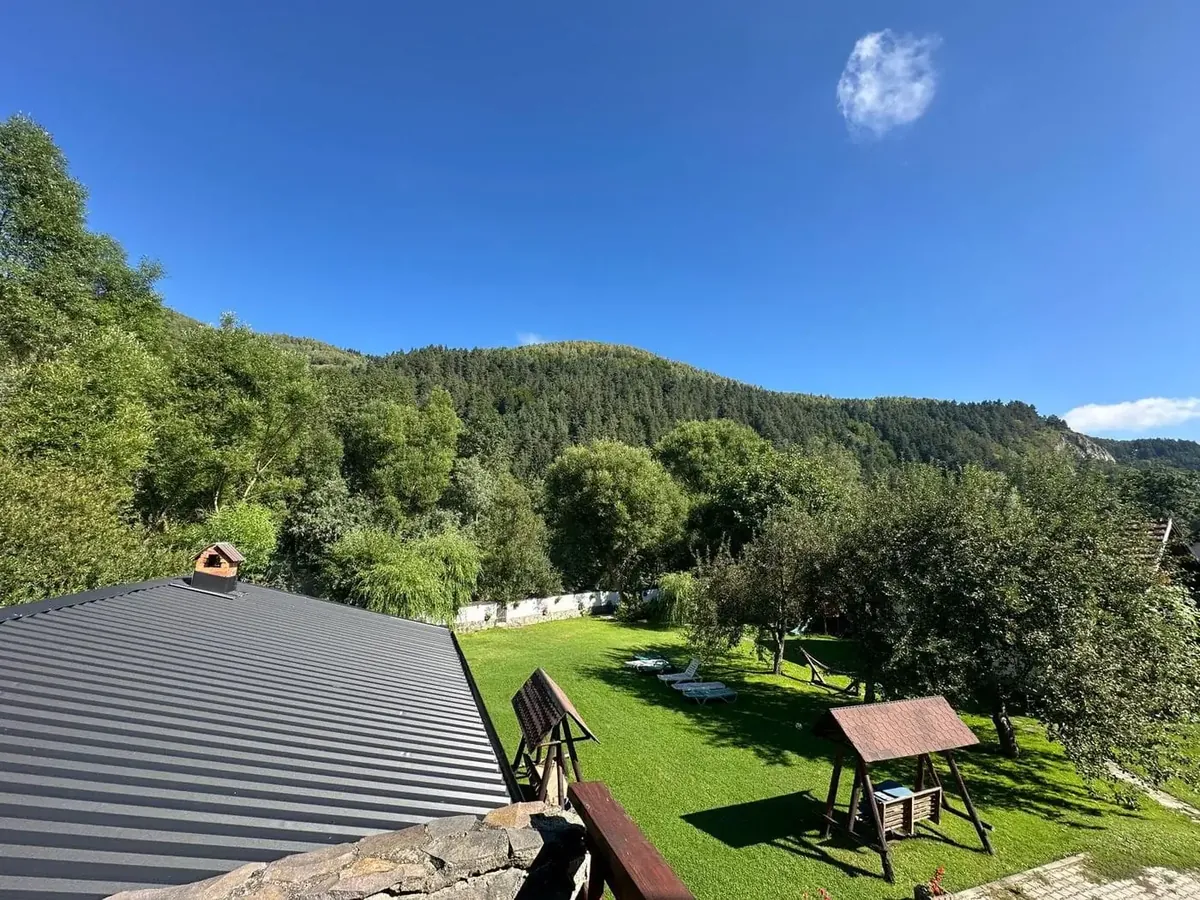 Priveliștea spre pădure, de pe terasa camerei